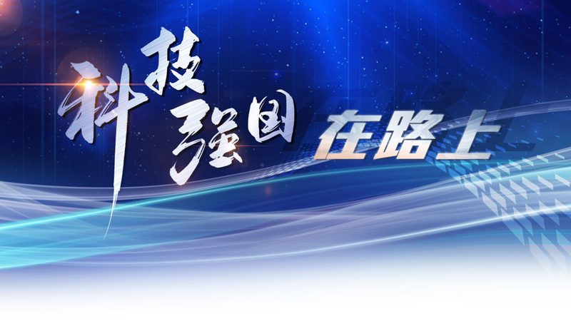 软件定制开发源代码交付：揭秘其核心价值与应用场景